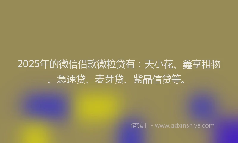 2025年的微信借款微粒贷有：天小花、鑫享租物、急速贷、麦芽贷、紫晶信贷等。