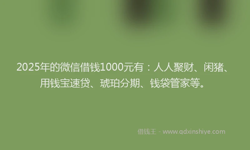 2025年的微信借钱1000元有：人人聚财、闲猪、用钱宝速贷、琥珀分期、钱袋管家等。