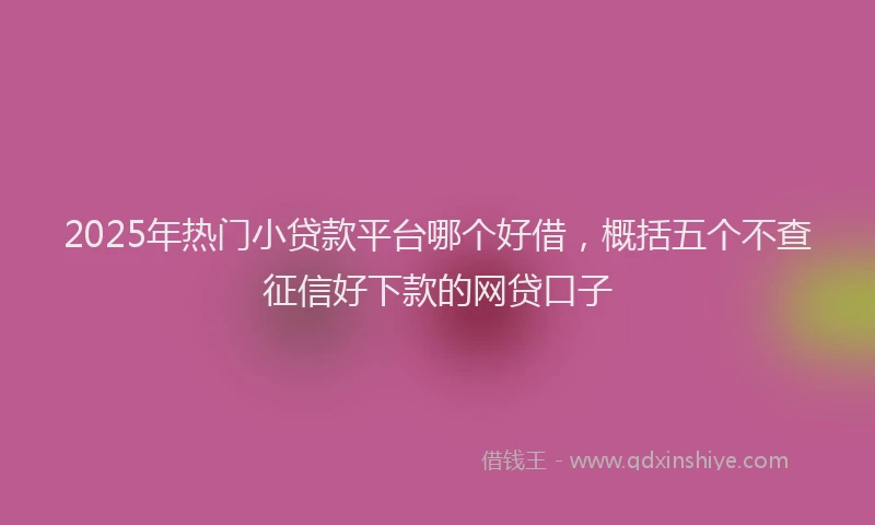 2025年热门小贷款平台哪个好借，概括五个不查征信好下款的网贷口子