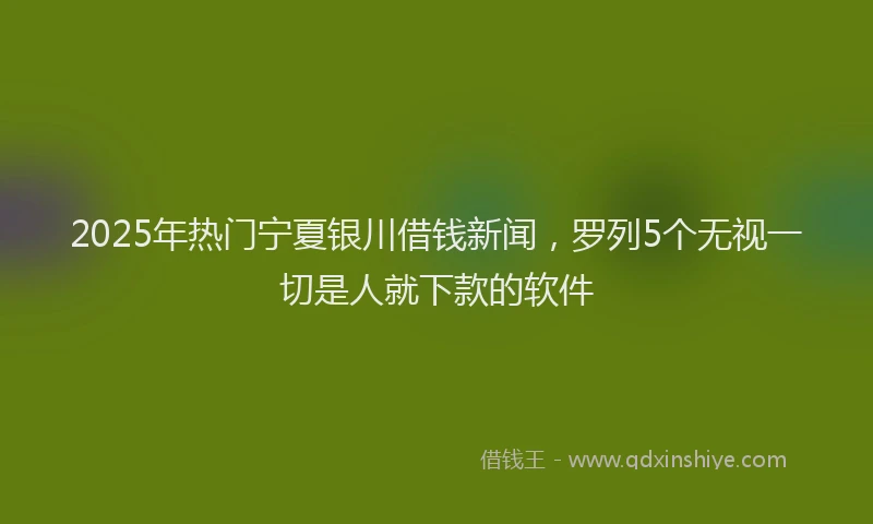 2025年热门宁夏银川借钱新闻，罗列5个无视一切是人就下款的软件
