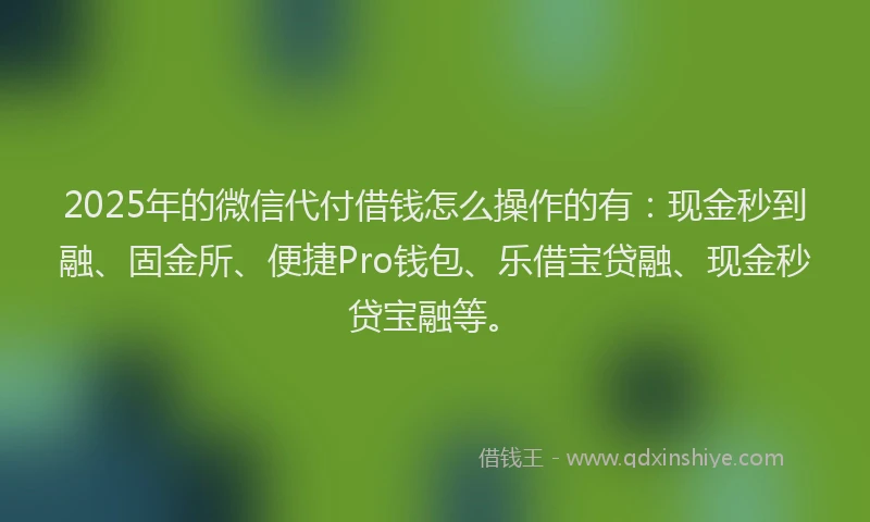 2025年的微信代付借钱怎么操作的有：现金秒到融、固金所、便捷Pro钱包、乐借宝贷融、现金秒贷宝融等。
