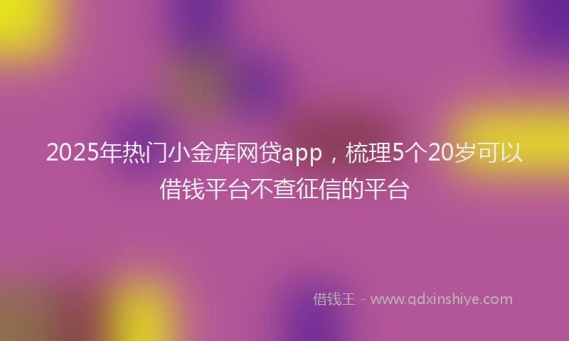 2025年热门小金库网贷app，梳理5个20岁可以借钱平台不查征信的平台
