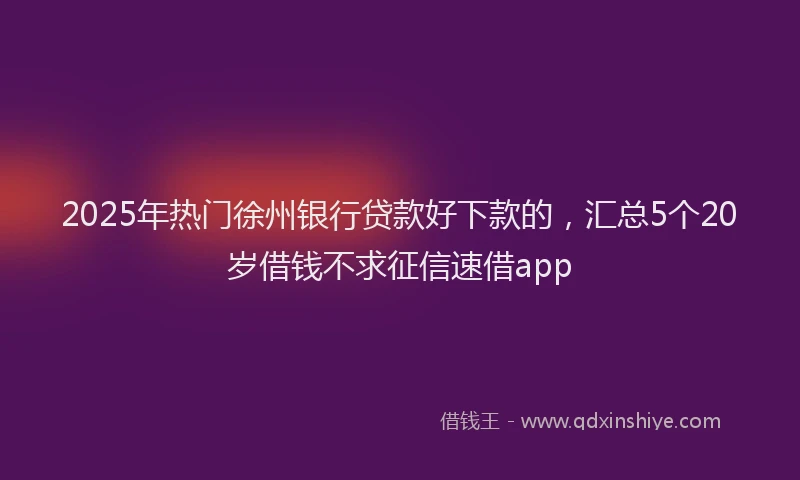 2025年热门徐州银行贷款好下款的，汇总5个20岁借钱不求征信速借app