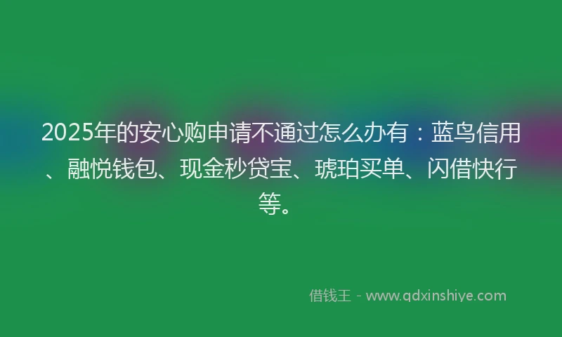 2025年的安心购申请不通过怎么办有：蓝鸟信用、融悦钱包、现金秒贷宝、琥珀买单、闪借快行等。