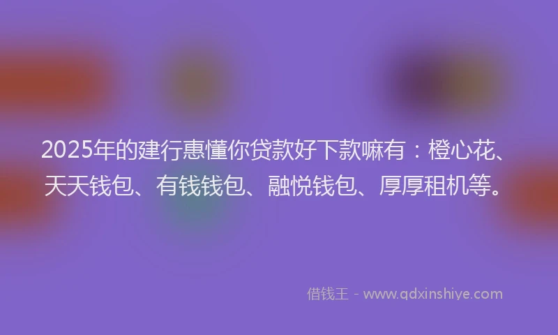 2025年的建行惠懂你贷款好下款嘛有：橙心花、天天钱包、有钱钱包、融悦钱包、厚厚租机等。