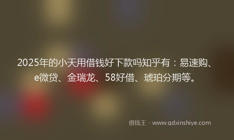 2025年的小天用借钱好下款吗知乎有：易速购、e微贷、金瑞龙、58好借、琥珀分期等。