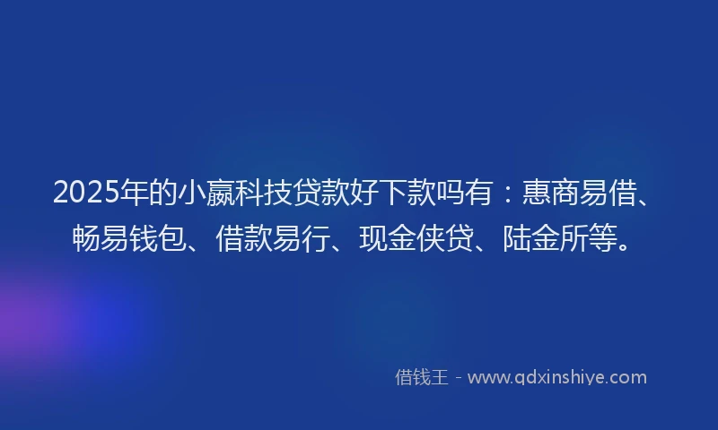 2025年的小嬴科技贷款好下款吗有：惠商易借、畅易钱包、借款易行、现金侠贷、陆金所等。