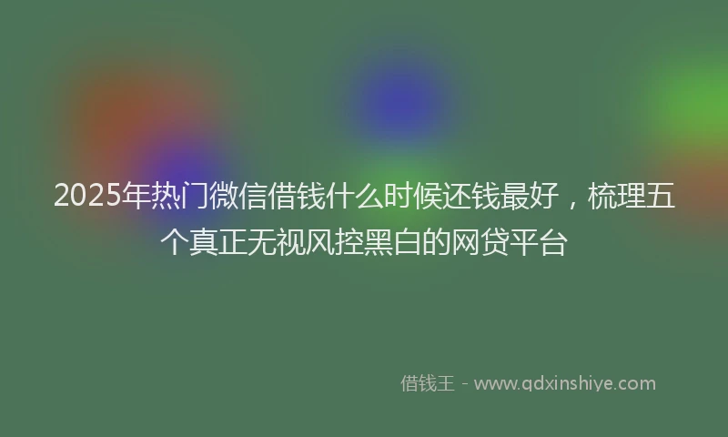 2025年热门微信借钱什么时候还钱最好，梳理五个真正无视风控黑白的网贷平台