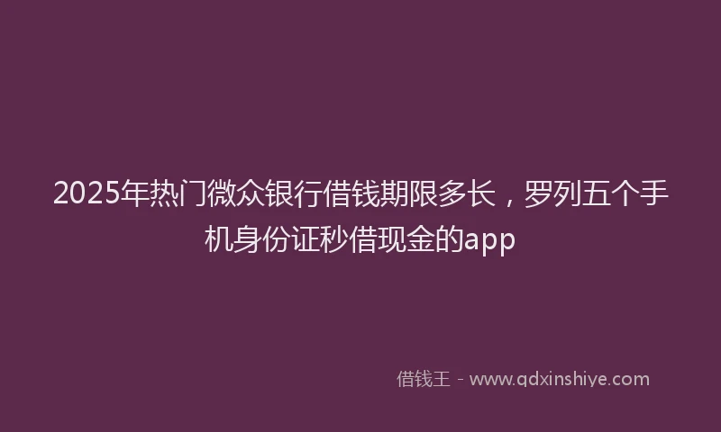 2025年热门微众银行借钱期限多长，罗列五个手机身份证秒借现金的app