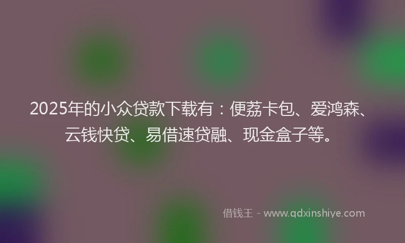 2025年的小众贷款下载有：便荔卡包、爱鸿森、云钱快贷、易借速贷融、现金盒子等。