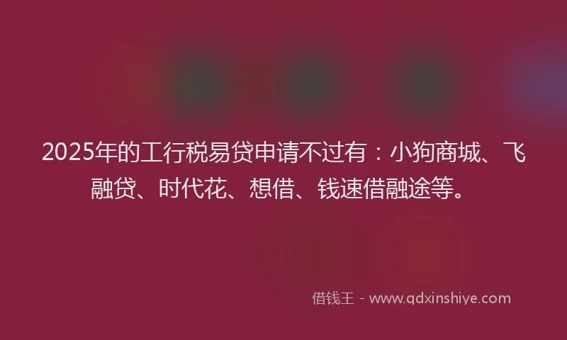 2025年的工行税易贷申请不过有：小狗商城、飞融贷、时代花、想借、钱速借融途等。