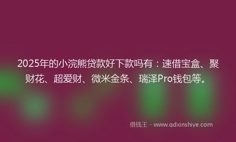 2025年的小浣熊贷款好下款吗有：速借宝盒、聚财花、超爱财、微米金条、瑞泽Pro钱包等。
