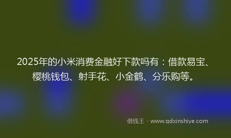 2025年的小米消费金融好下款吗有：借款易宝、樱桃钱包、射手花、小金鹤、分乐购等。