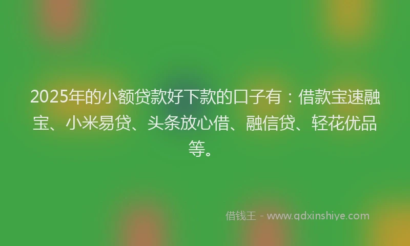2025年的小额贷款好下款的口子有：借款宝速融宝、小米易贷、头条放心借、融信贷、轻花优品等。