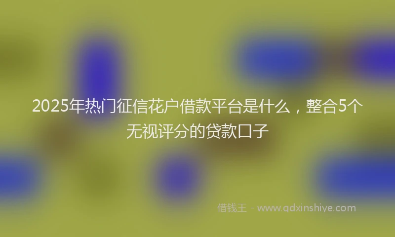 2025年热门征信花户借款平台是什么，整合5个无视评分的贷款口子