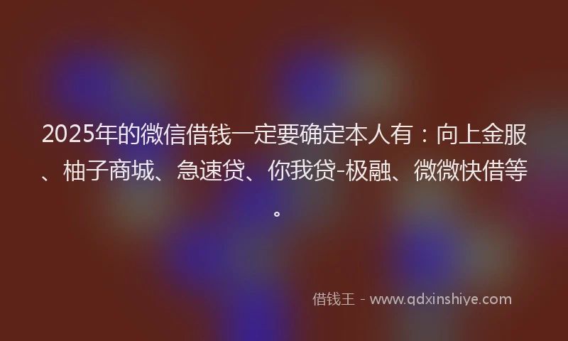2025年的微信借钱一定要确定本人有：向上金服、柚子商城、急速贷、你我贷-极融、微微快借等。