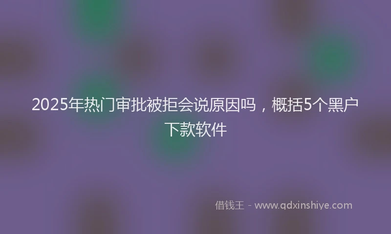2025年热门审批被拒会说原因吗，概括5个黑户下款软件
