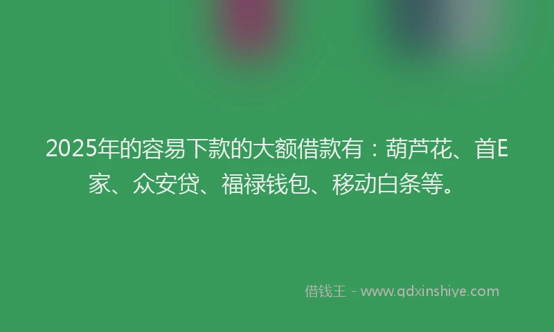 2025年的容易下款的大额借款有：葫芦花、首E家、众安贷、福禄钱包、移动白条等。