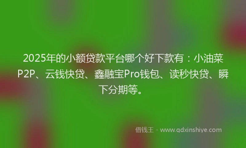 2025年的小额贷款平台哪个好下款有：小油菜P2P、云钱快贷、鑫融宝Pro钱包、读秒快贷、瞬下分期等。