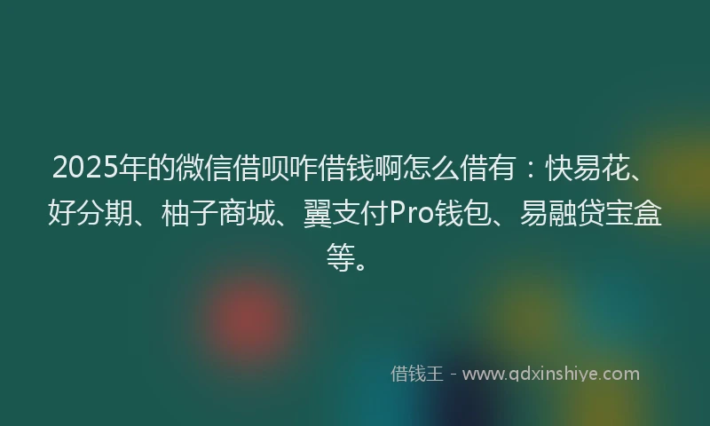 2025年的微信借呗咋借钱啊怎么借有：快易花、好分期、柚子商城、翼支付Pro钱包、易融贷宝盒等。