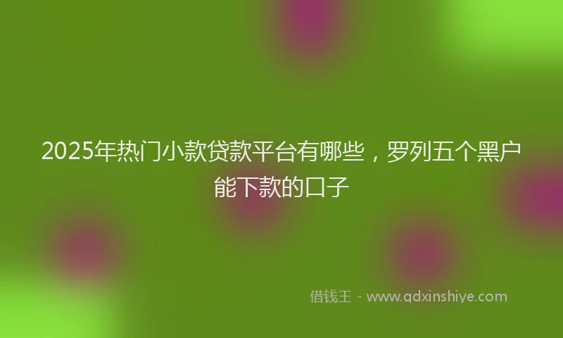 2025年热门小款贷款平台有哪些，罗列五个黑户能下款的口子