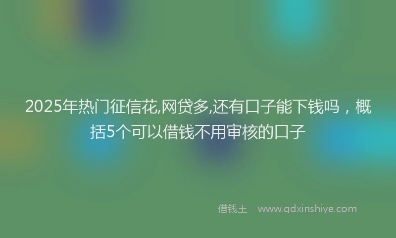 2025年热门征信花,网贷多,还有口子能下钱吗，概括5个可以借钱不用审核的口子