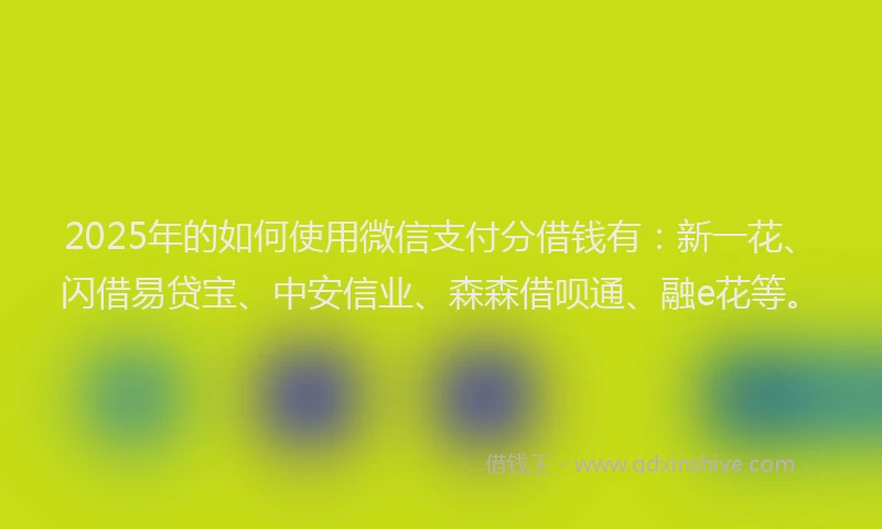 2025年的如何使用微信支付分借钱有：新一花、闪借易贷宝、中安信业、森森借呗通、融e花等。