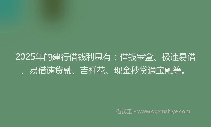 2025年的建行借钱利息有：借钱宝盒、极速易借、易借速贷融、吉祥花、现金秒贷通宝融等。