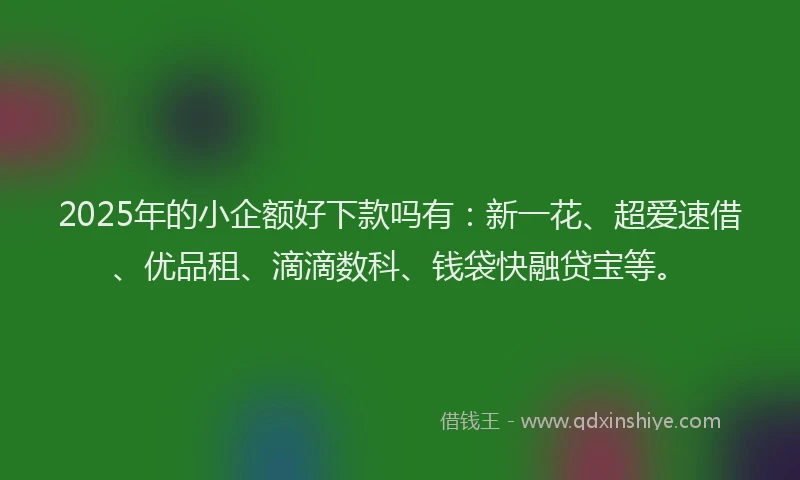 2025年的小企额好下款吗有：新一花、超爱速借、优品租、滴滴数科、钱袋快融贷宝等。