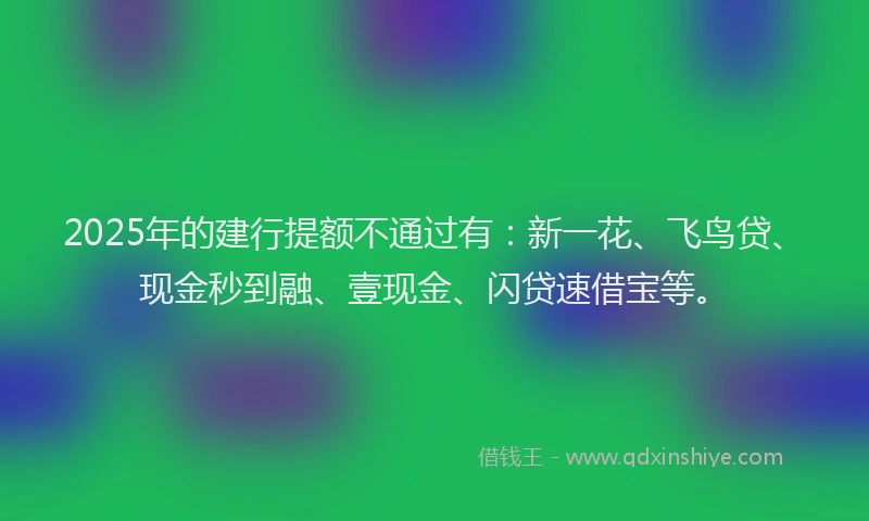 2025年的建行提额不通过有：新一花、飞鸟贷、现金秒到融、壹现金、闪贷速借宝等。
