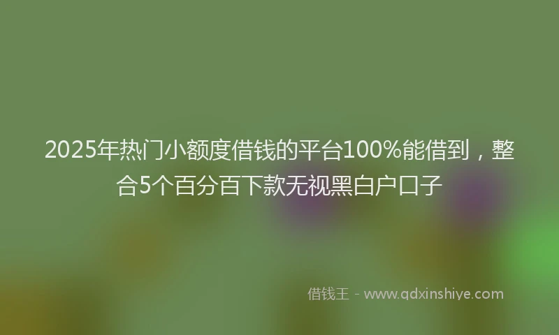 2025年热门小额度借钱的平台100%能借到，整合5个百分百下款无视黑白户口子