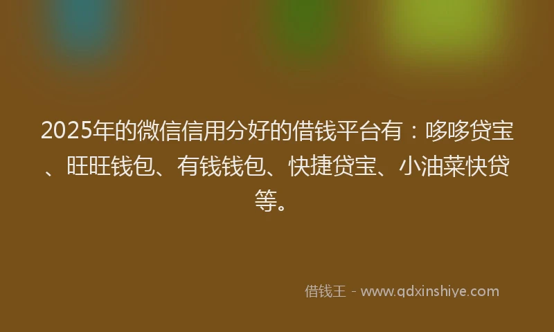 2025年的微信信用分好的借钱平台有：哆哆贷宝、旺旺钱包、有钱钱包、快捷贷宝、小油菜快贷等。