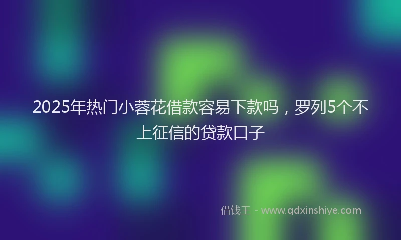2025年热门小蓉花借款容易下款吗，罗列5个不上征信的贷款口子