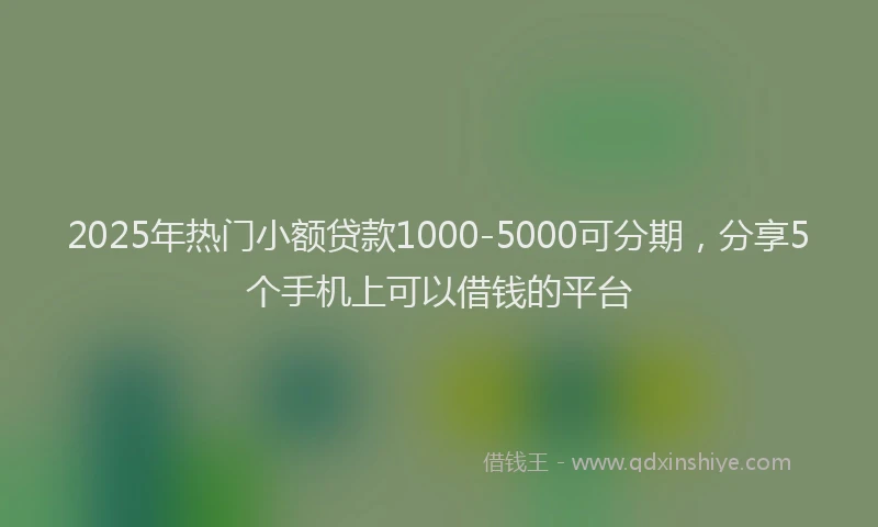 2025年热门小额贷款1000-5000可分期，分享5个手机上可以借钱的平台