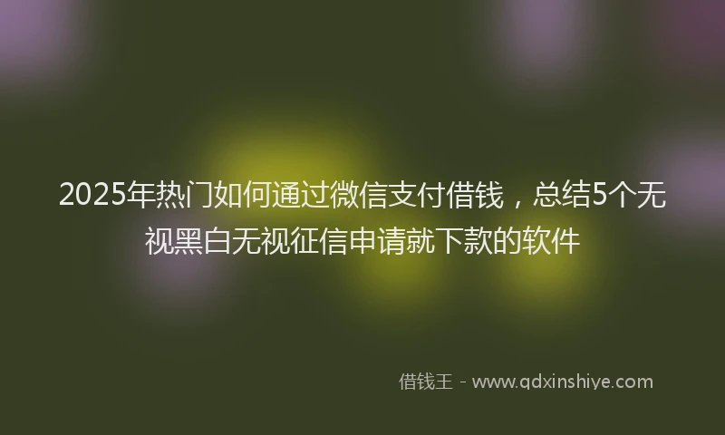 2025年热门如何通过微信支付借钱，总结5个无视黑白无视征信申请就下款的软件