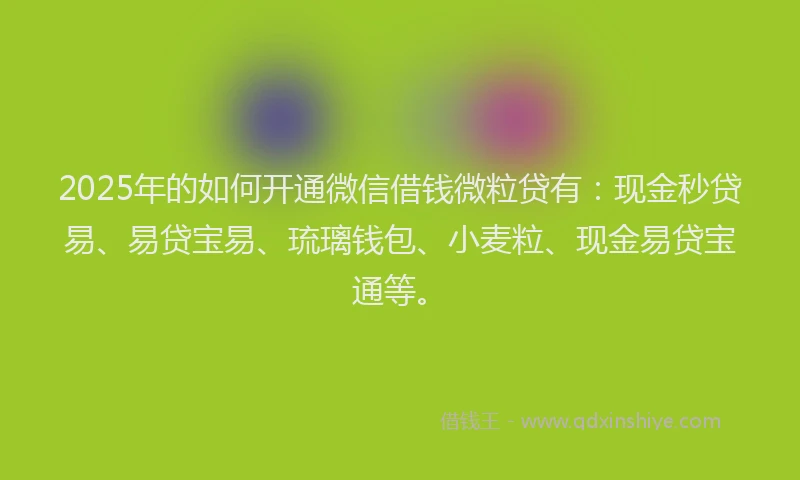 2025年的如何开通微信借钱微粒贷有：现金秒贷易、易贷宝易、琉璃钱包、小麦粒、现金易贷宝通等。