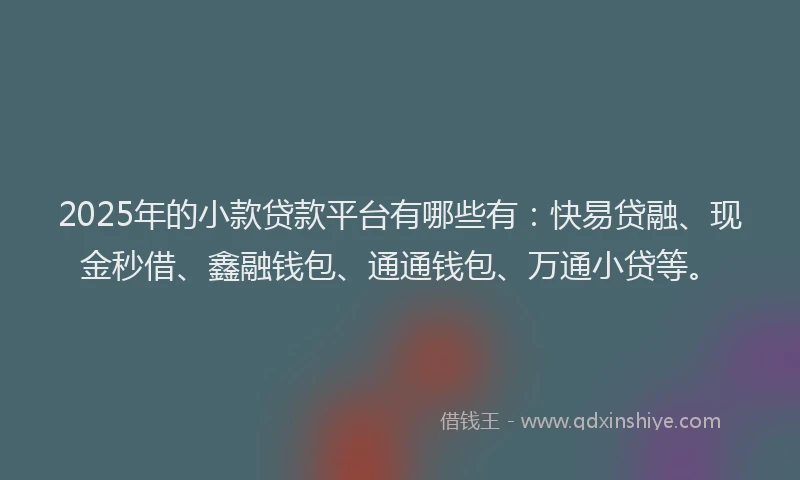 2025年的小款贷款平台有哪些有：快易贷融、现金秒借、鑫融钱包、通通钱包、万通小贷等。