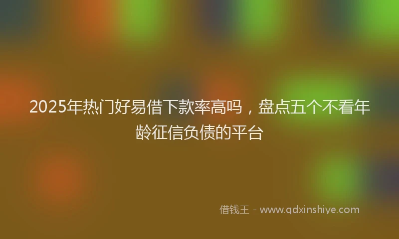 2025年热门好易借下款率高吗，盘点五个不看年龄征信负债的平台