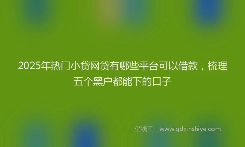 2025年热门小贷网贷有哪些平台可以借款，梳理五个黑户都能下的口子