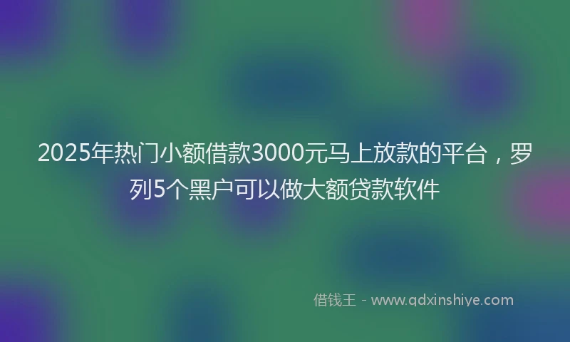 2025年热门小额借款3000元马上放款的平台，罗列5个黑户可以做大额贷款软件