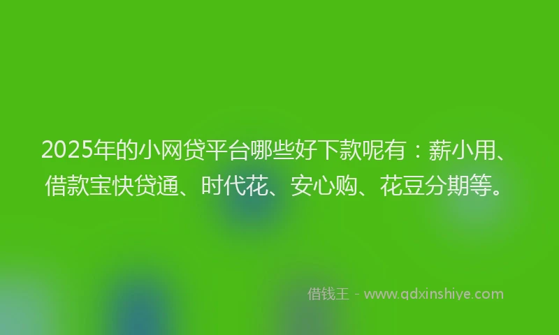2025年的小网贷平台哪些好下款呢有：薪小用、借款宝快贷通、时代花、安心购、花豆分期等。