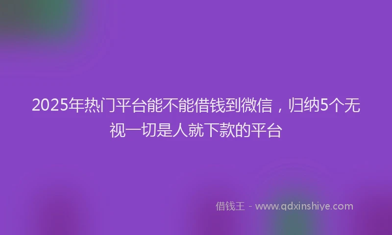 2025年热门平台能不能借钱到微信，归纳5个无视一切是人就下款的平台