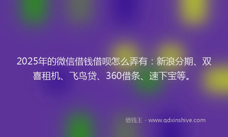 2025年的微信借钱借呗怎么弄有：新浪分期、双喜租机、飞鸟贷、360借条、速下宝等。