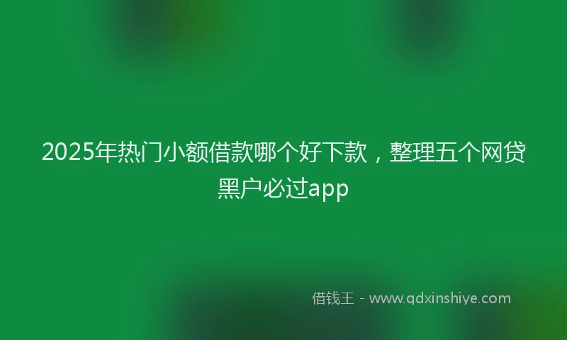 2025年热门小额借款哪个好下款，整理五个网贷黑户必过app