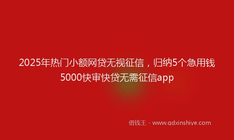 2025年热门小额网贷无视征信，归纳5个急用钱5000快审快贷无需征信app