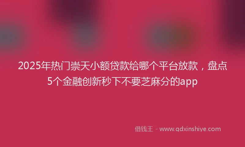 2025年热门崇天小额贷款给哪个平台放款，盘点5个金融创新秒下不要芝麻分的app