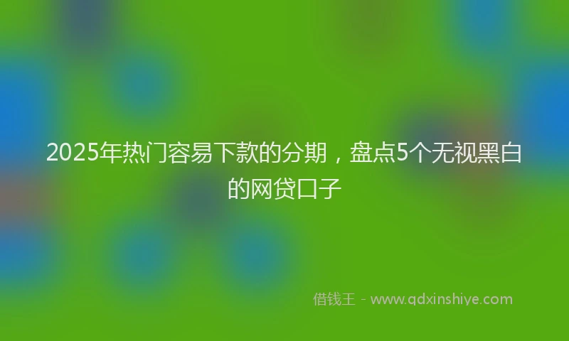 2025年热门容易下款的分期，盘点5个无视黑白的网贷口子