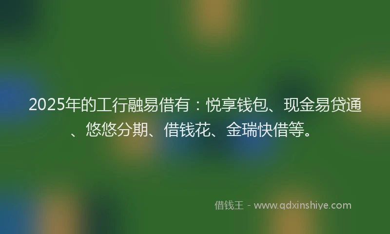 2025年的工行融易借有：悦享钱包、现金易贷通、悠悠分期、借钱花、金瑞快借等。