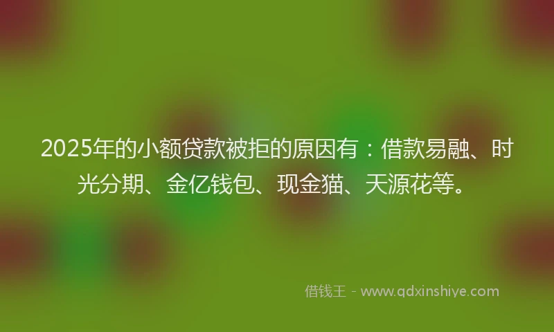 2025年的小额贷款被拒的原因有：借款易融、时光分期、金亿钱包、现金猫、天源花等。