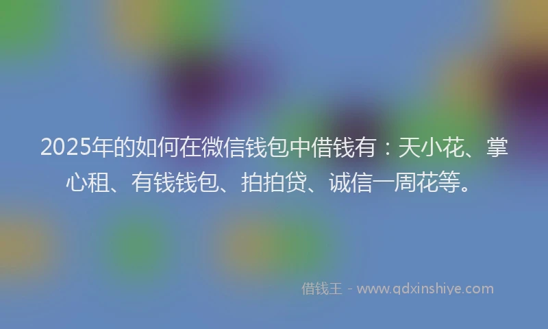 2025年的如何在微信钱包中借钱有：天小花、掌心租、有钱钱包、拍拍贷、诚信一周花等。